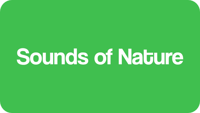 Sounds of nature project